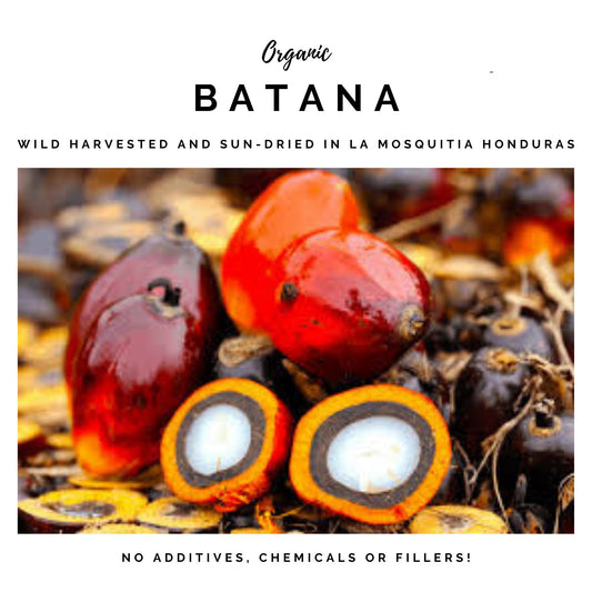 BATANA GOLD Hair Butter - Dr. Sebi Approved
